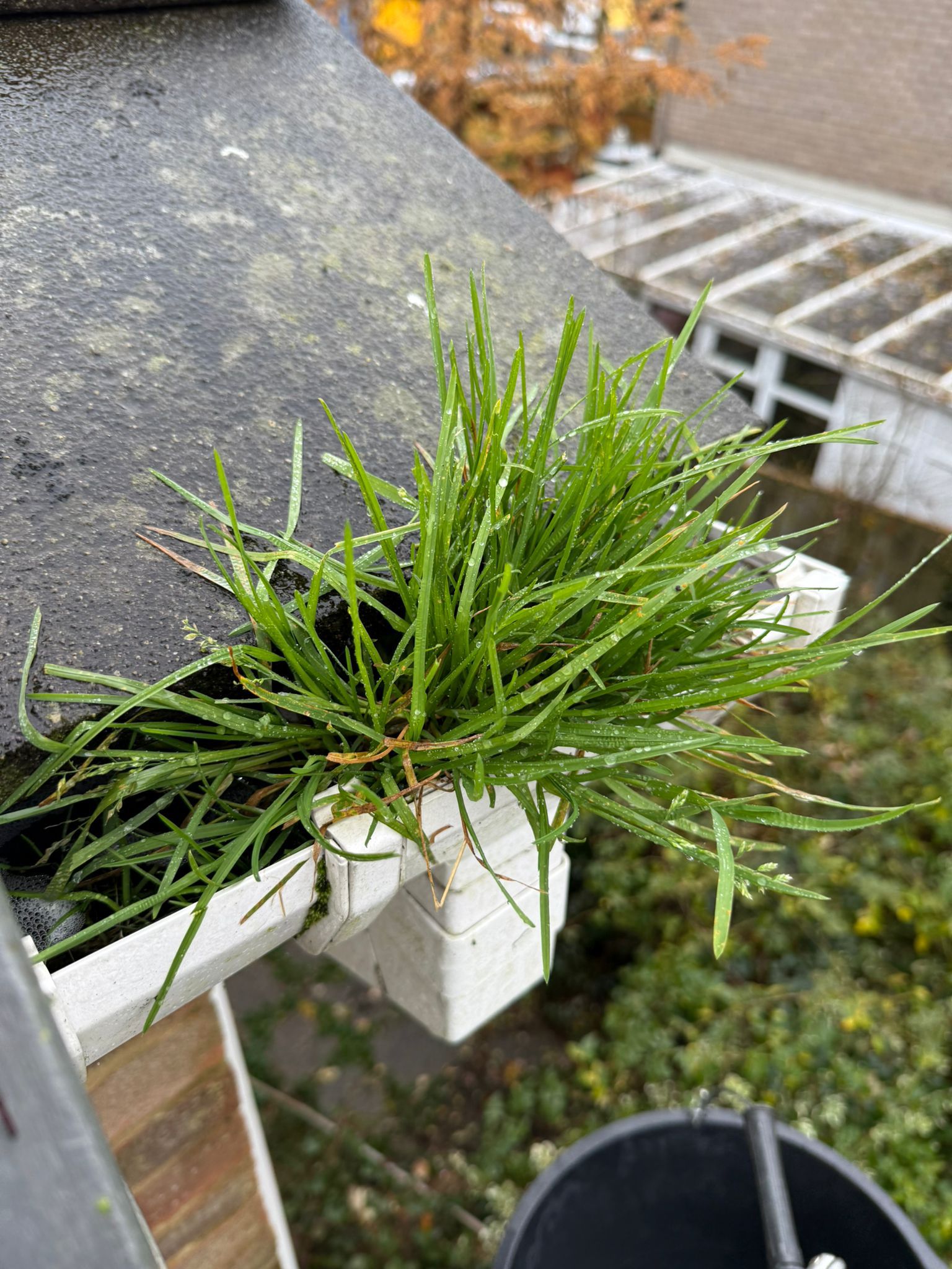 Blocked gutter downpipe in Hindhead